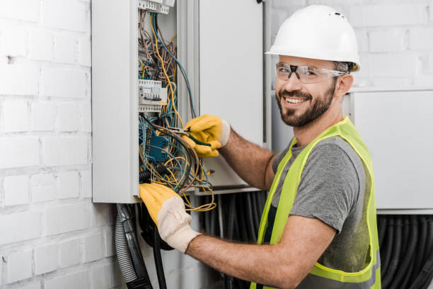 Best Affordable Electrician  in Ddleville, MI