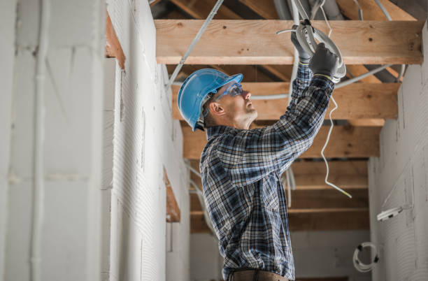 Best Electric Panel Repair  in Ddleville, MI